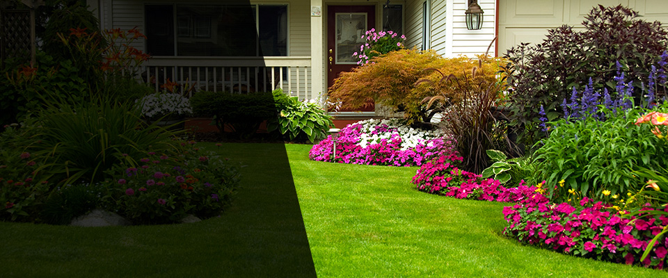 Suitland Landscapers