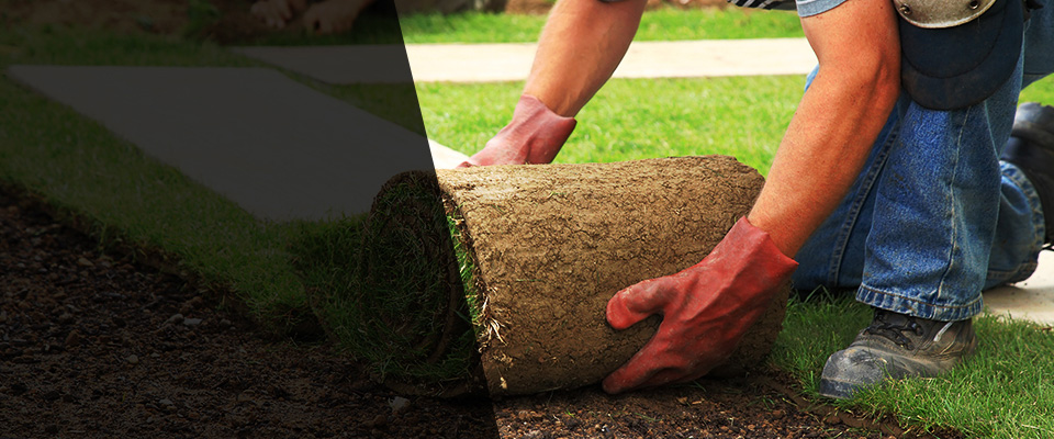 Suitland Landscapers